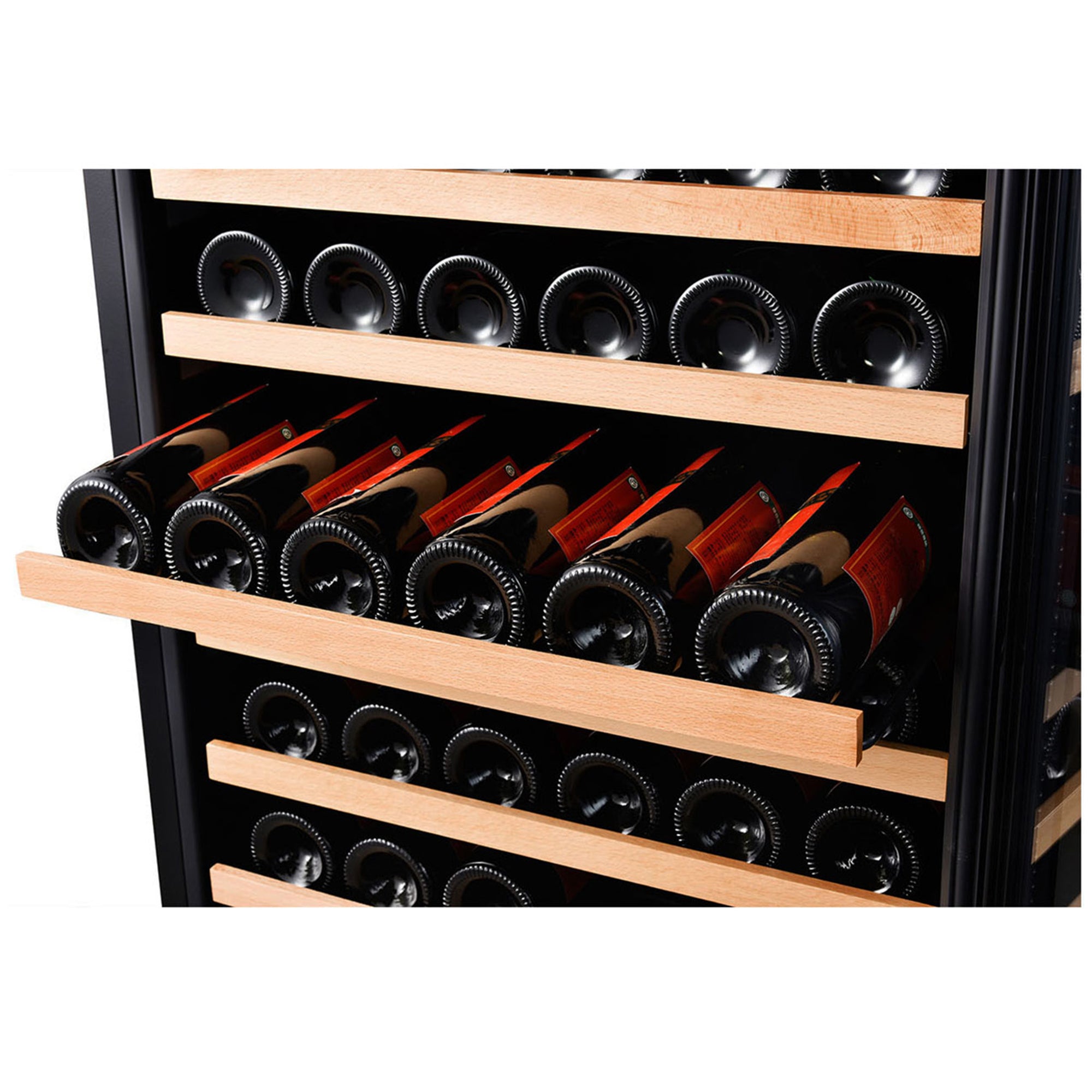 166 Bottle Dual Zone Stainless Steel Wine Refrigerator